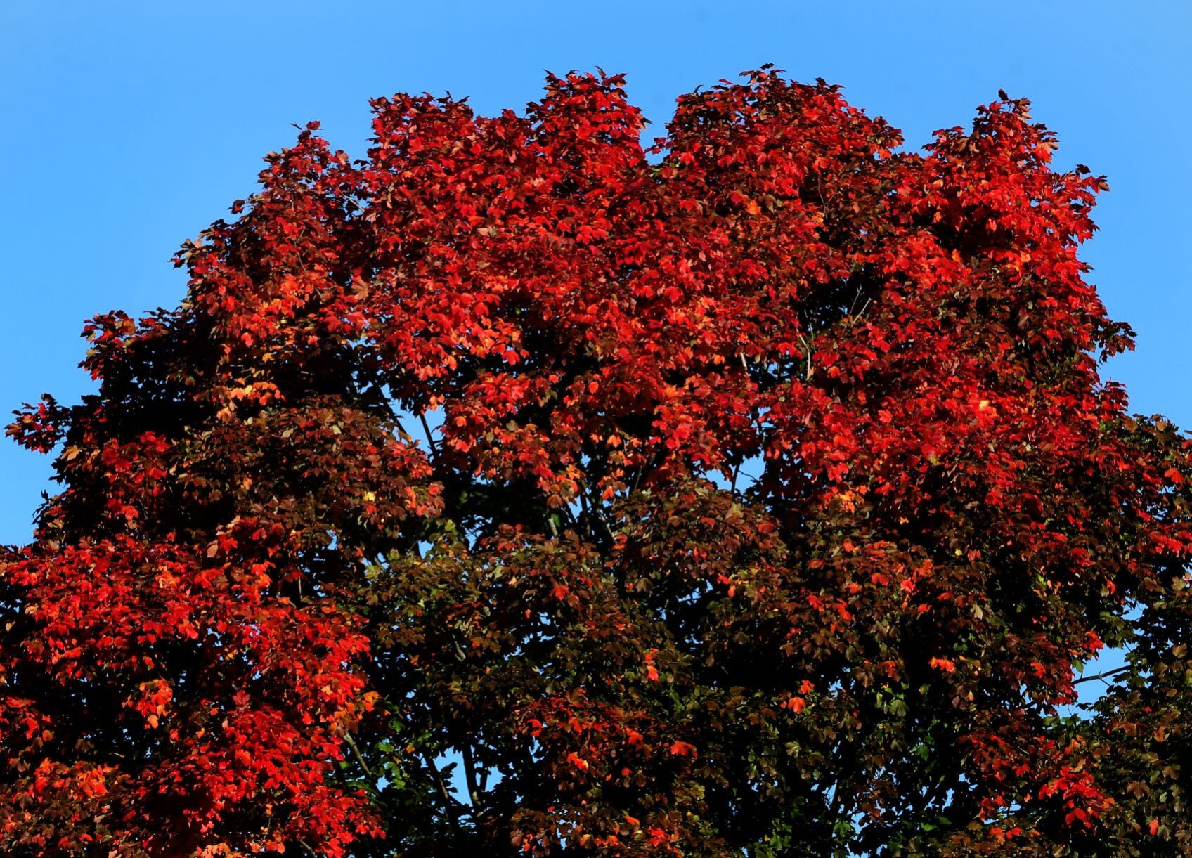 Turning from red to green